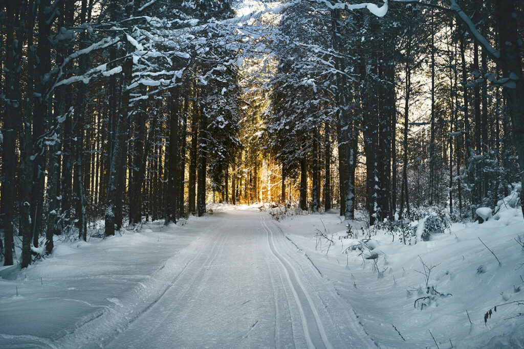 A road covered with snow